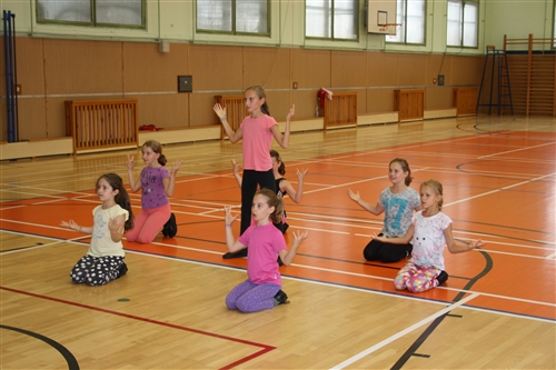 Obrázek v galerii